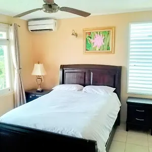 https://ocho-rios-2-bedroom-apartment-flat.comcaribbean.com