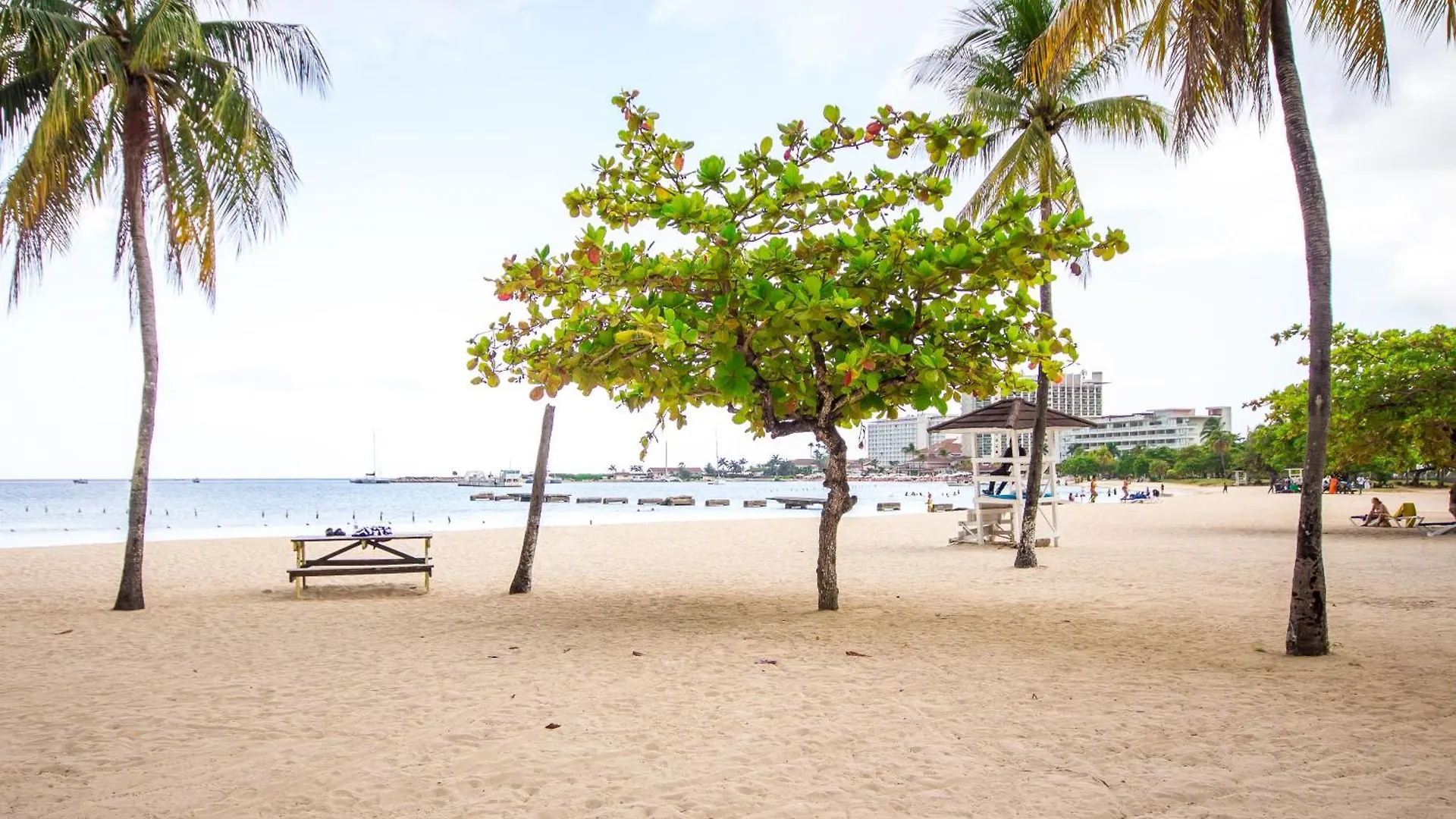 Malia Dreamers Paradise Ocho Rios Jamaica